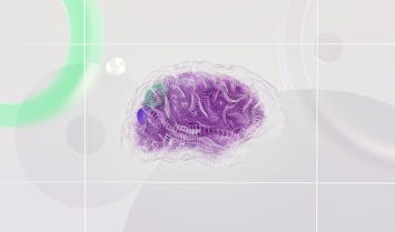 subject-img